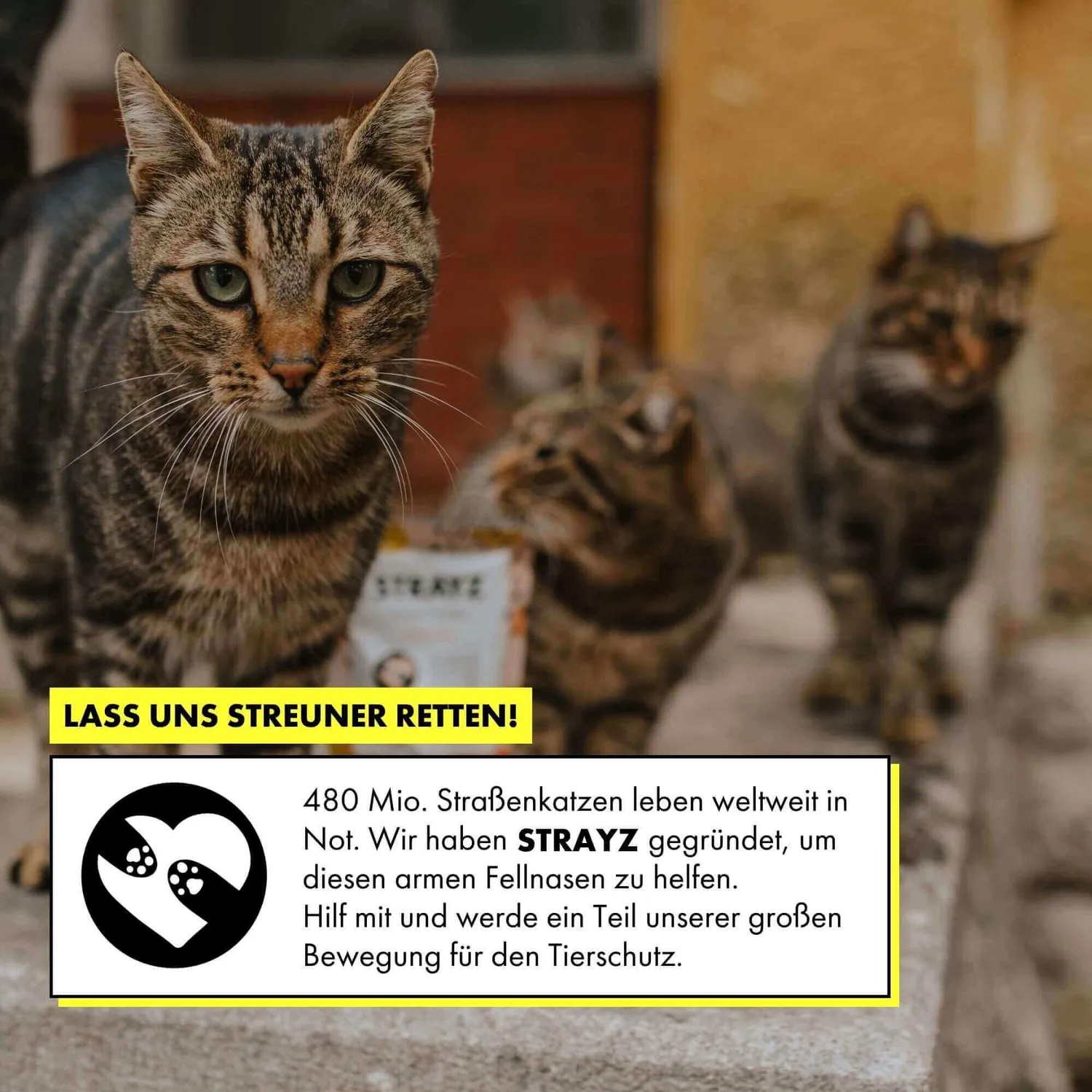 STRAYZ kip courgette nat kattenvoer 85g graanvrij