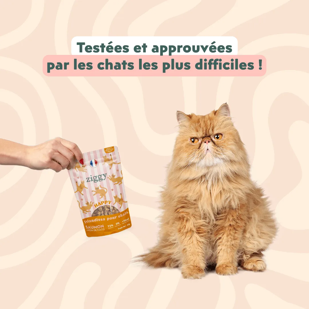 Ziggy Happy Cat Treats kattensnoepjes met zalm 40g graanvrij