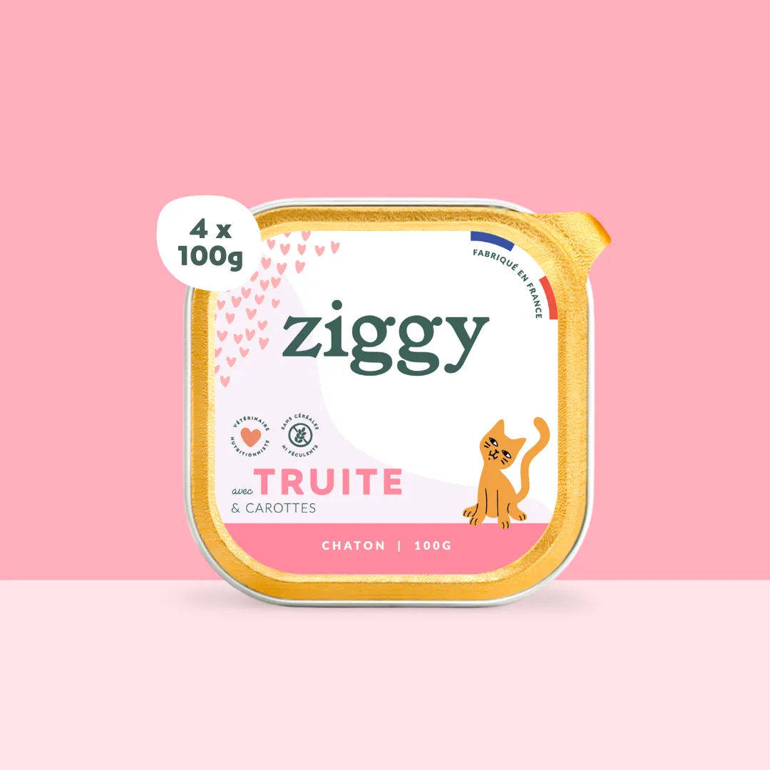 Ziggy natvoer kitten forel 4x100g graanvrij
