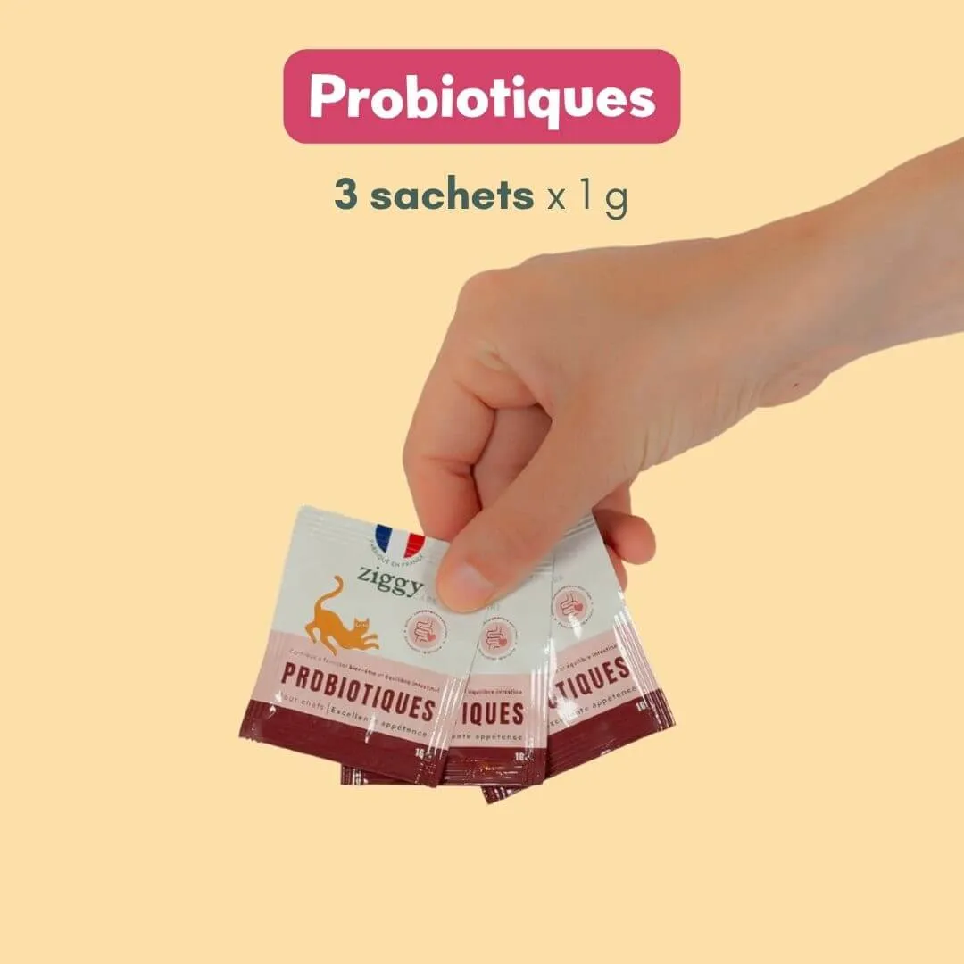 Ziggy Mousses Box proefbox volwassen kat kip