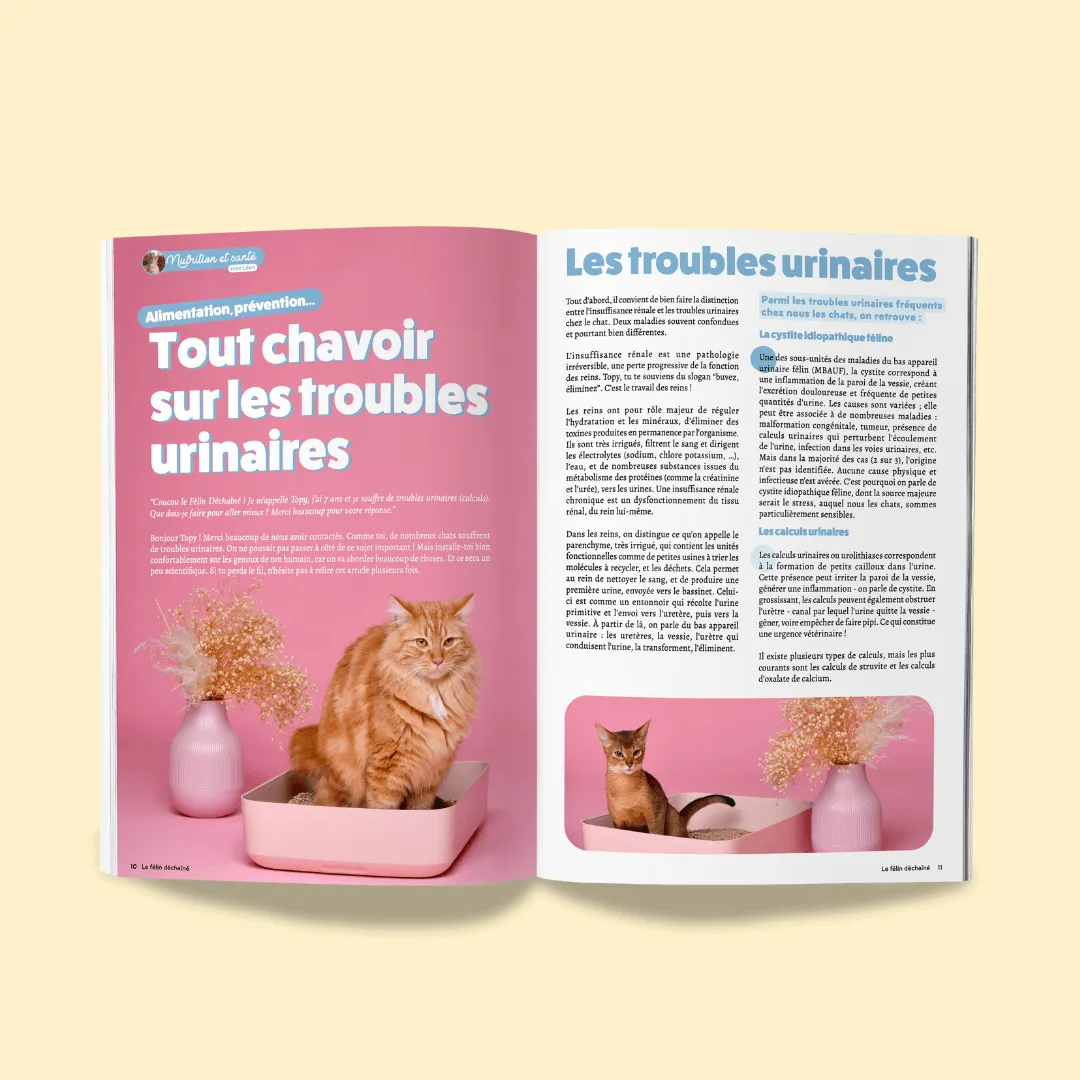 Le Félin Déchaîné magazine nummer 4 kattenblad Frans