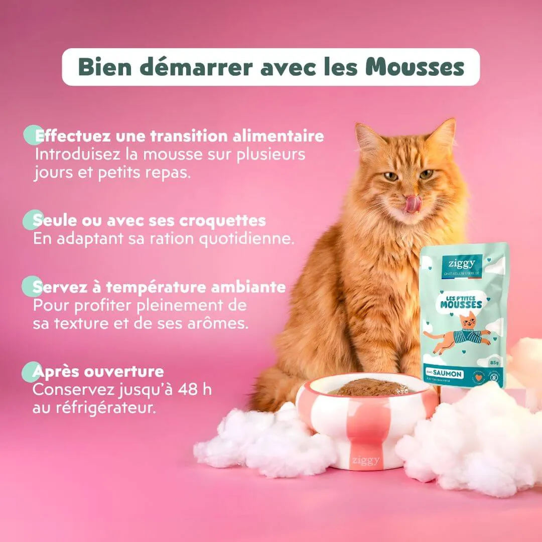 Ziggy Sterilized Mousse kattenvoer zalm 12x85g graanvrij