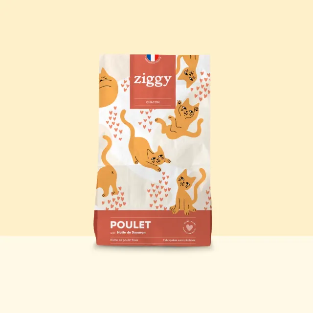 Ziggy kittenbrokken kip met zalmolie 1kg graanvrij