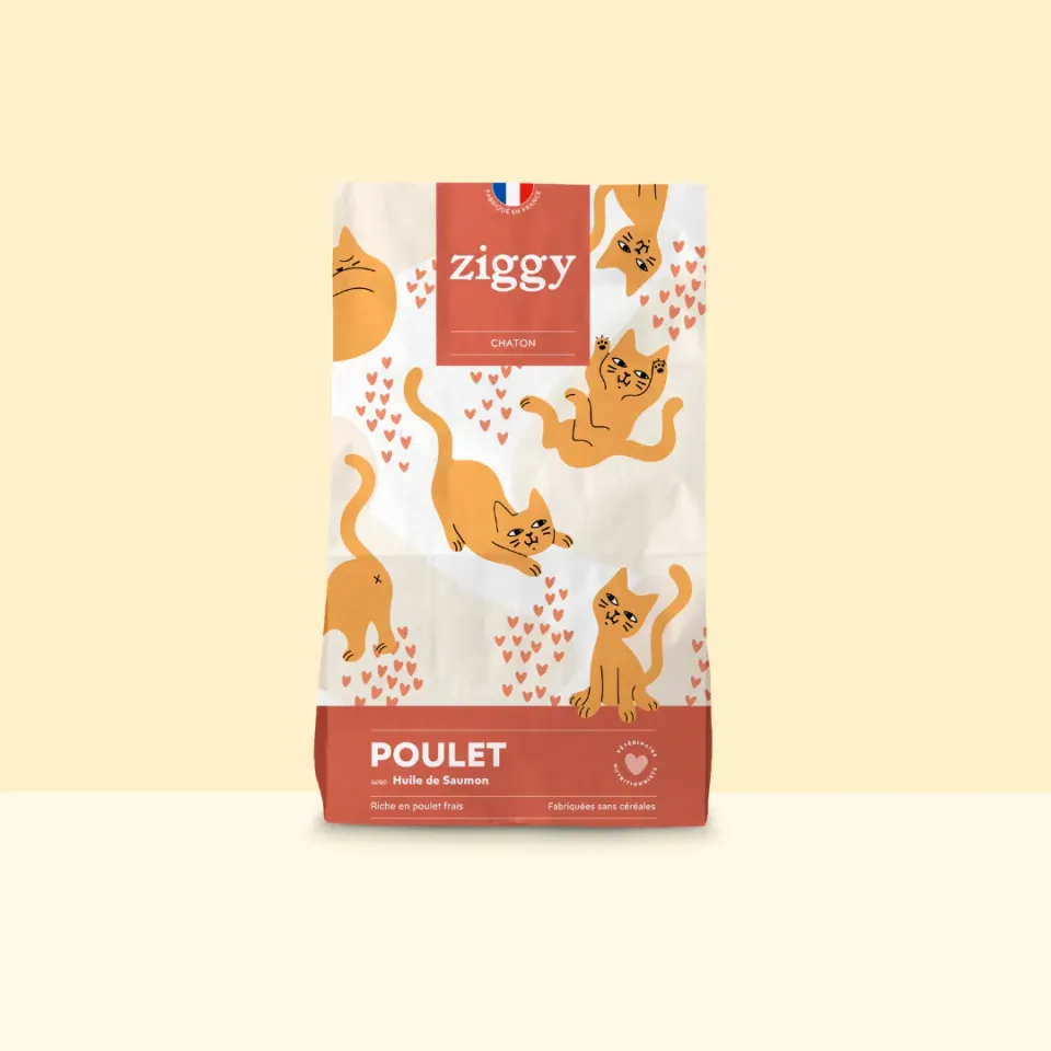 Ziggy kittenbrokken kip met zalmolie 1kg graanvrij