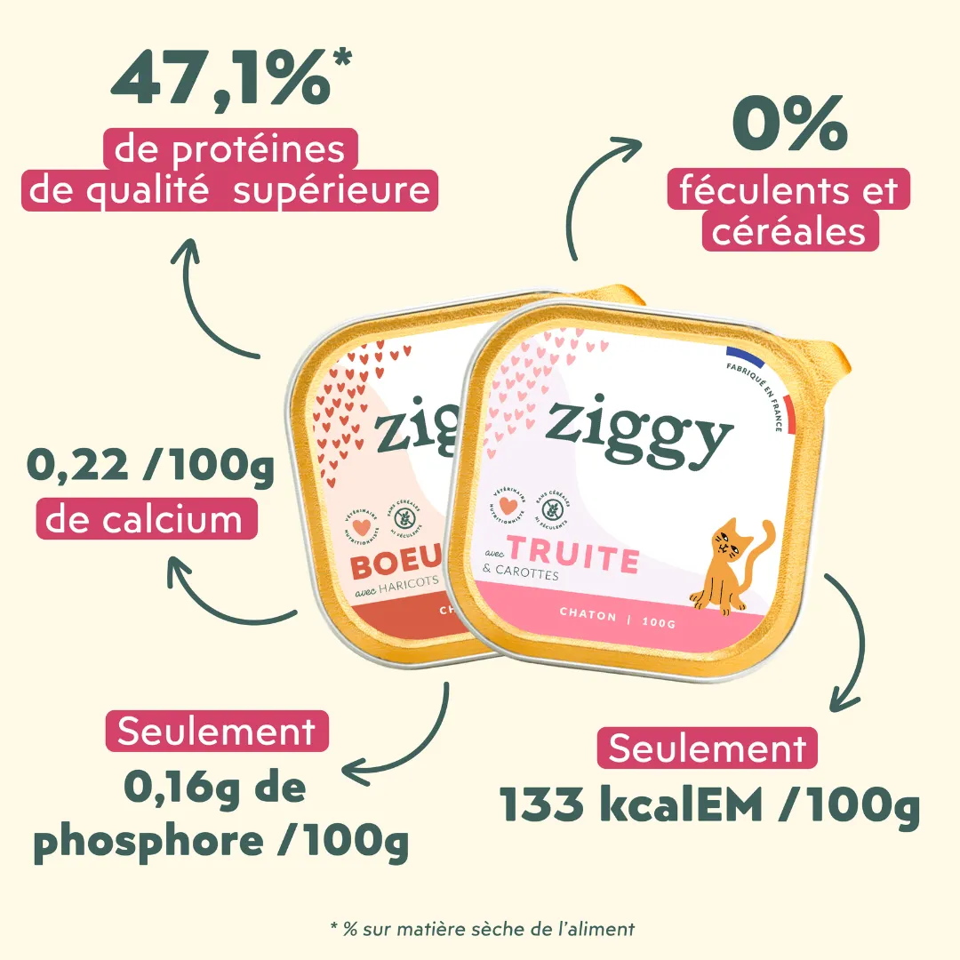 Ziggy Kitten Starter Kit startpakket 2-4 maanden