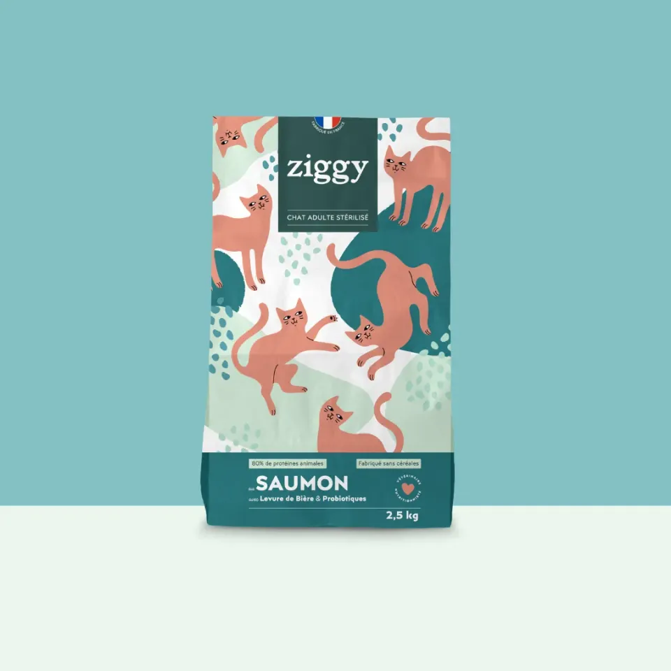 Ziggy brokken gesteriliseerde kat zalm 1 kg graanvrij