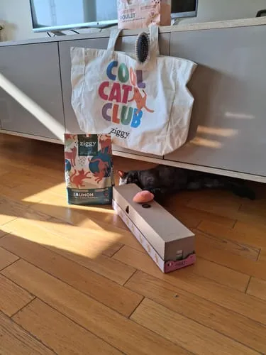Ziggy Cool Cat Club tote bag katoen groot kattenprint