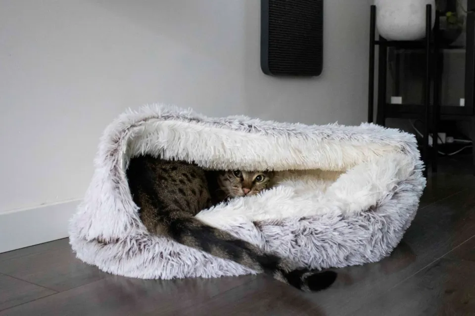 Poezenparadijs grote zachte kattenmand met grot