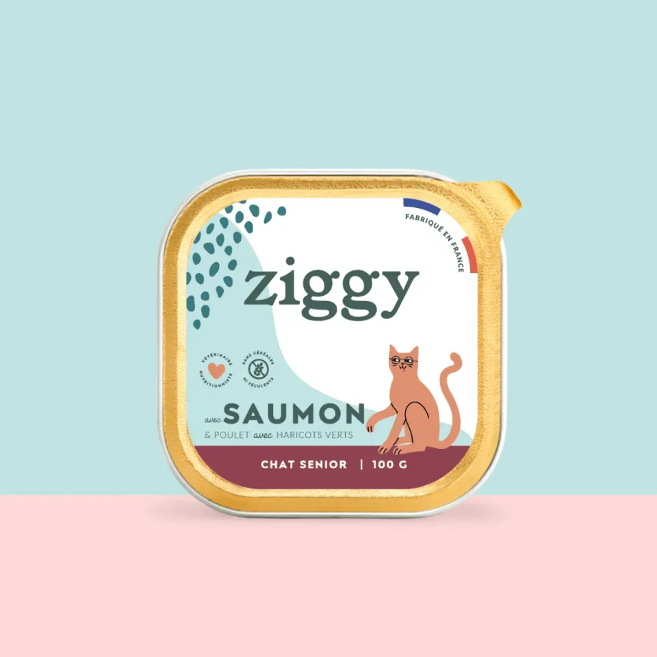 Ziggy Senior natvoer zalm 4 x 100 g graanvrij