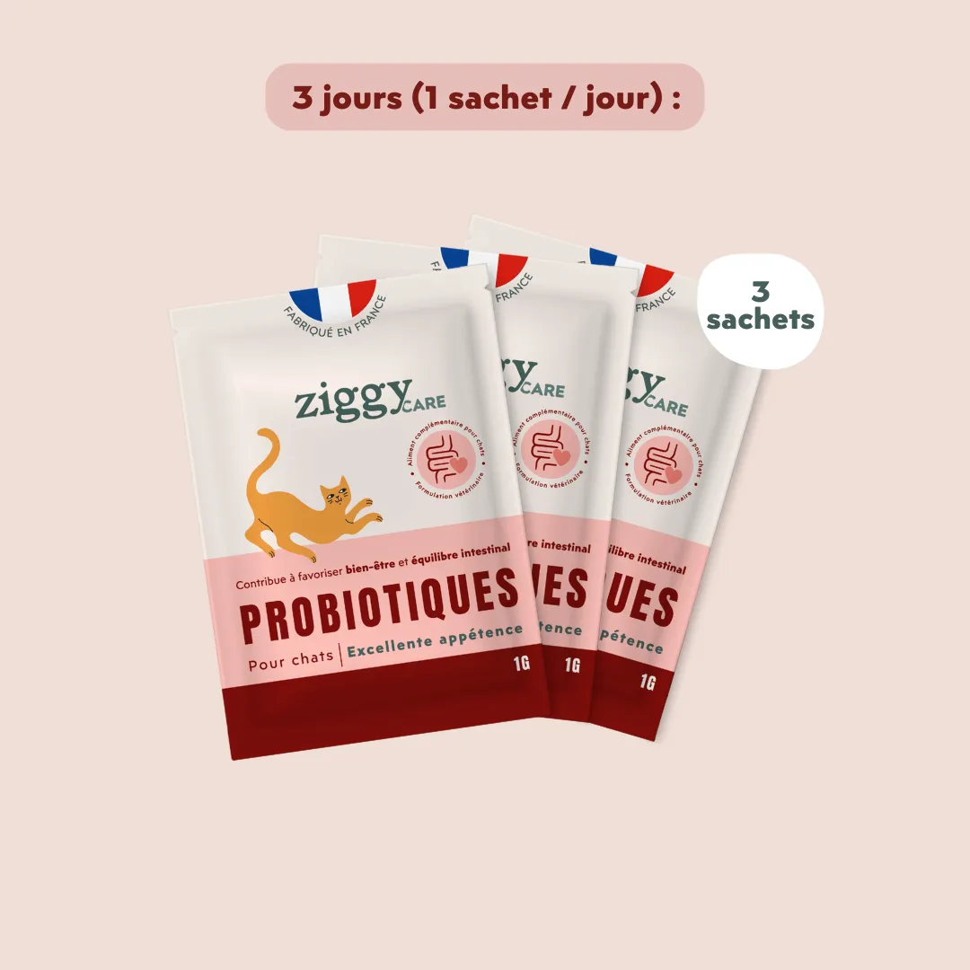 Ziggy Care probiotica kat 3 zakjes darmflora