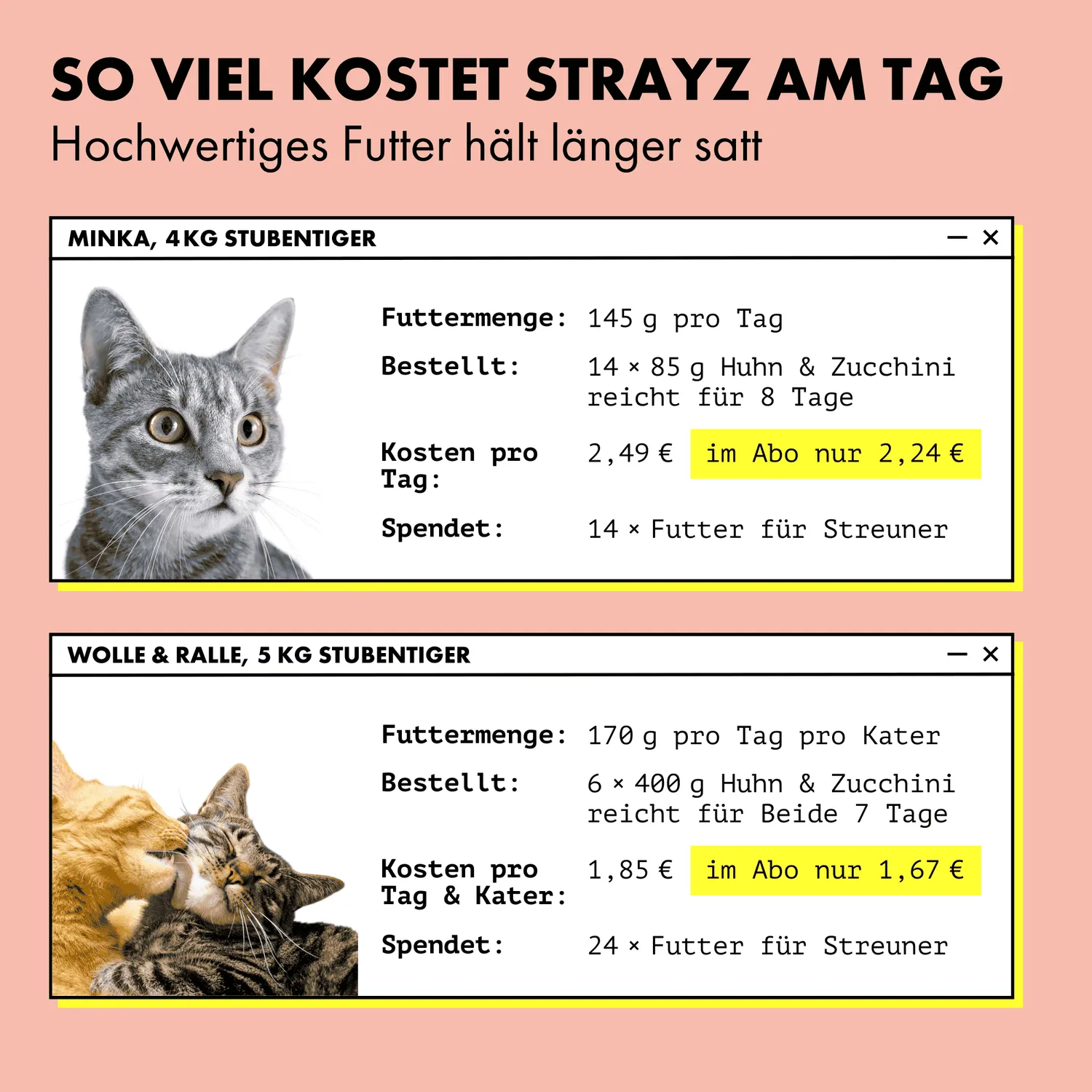 STRAYZ Ente Süßkartoffel paté kat 85g eiwitrijk