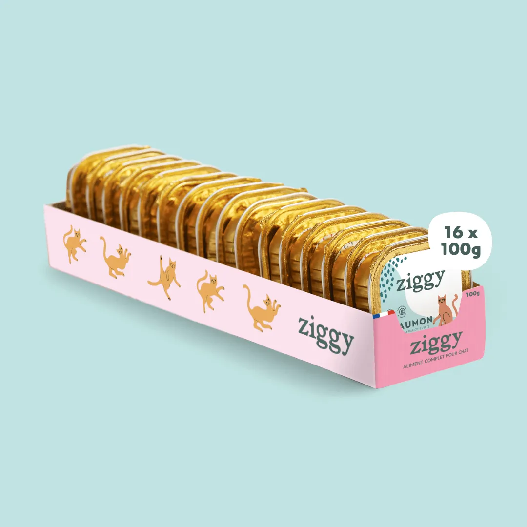 Ziggy Senior natvoer zalm 4 x 100 g graanvrij