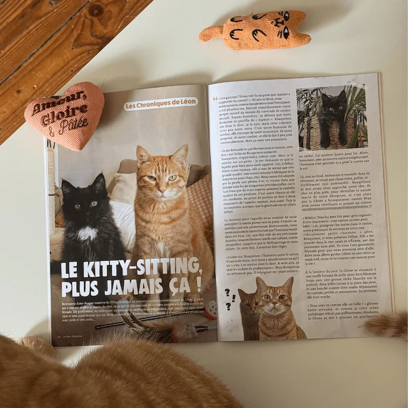 Ziggy Félin Déchaîné Issue 16 kattentijdschrift Frans