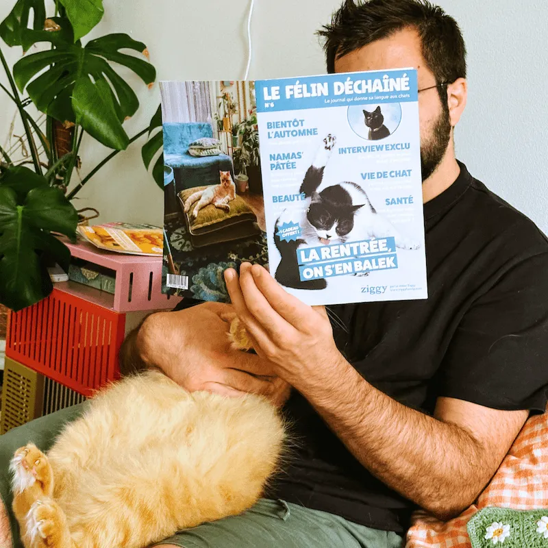Ziggy Félin Déchaîné Issue 10 kattentijdschrift Frans