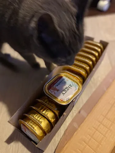 Ziggy Senior natvoer zalm 4 x 100 g graanvrij