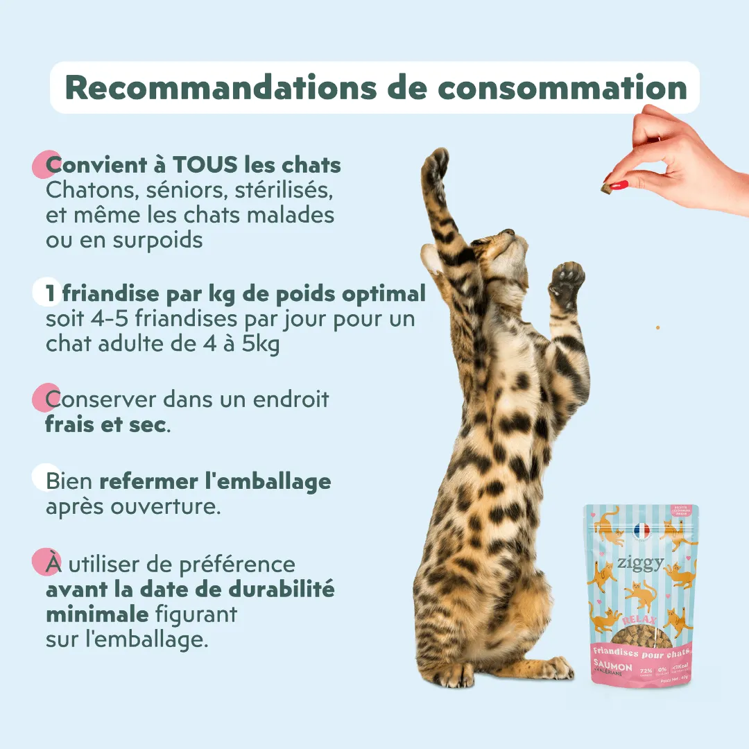 Ziggy Relax kattensnoepjes zalm valeriaan 40g graanvrij