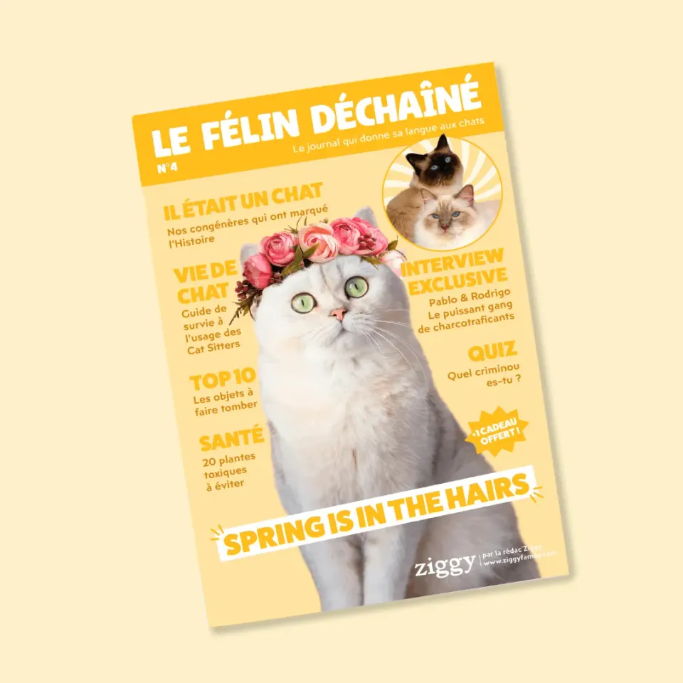 Le Félin Déchaîné magazine nummer 4 kattenblad Frans