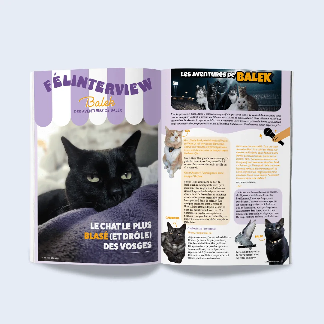 Ziggy Le Félin Déchaîné kattenmagazine nummer 6 Frans