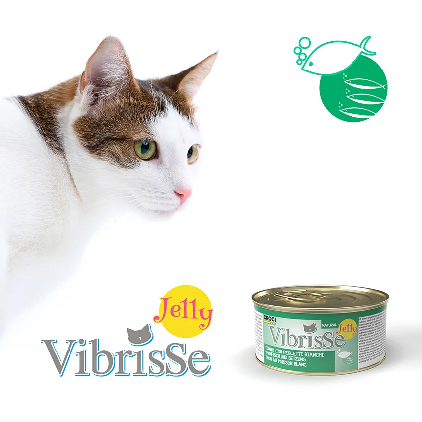 Vibrisse Jelly kip natvoer kat 70g blik gelei