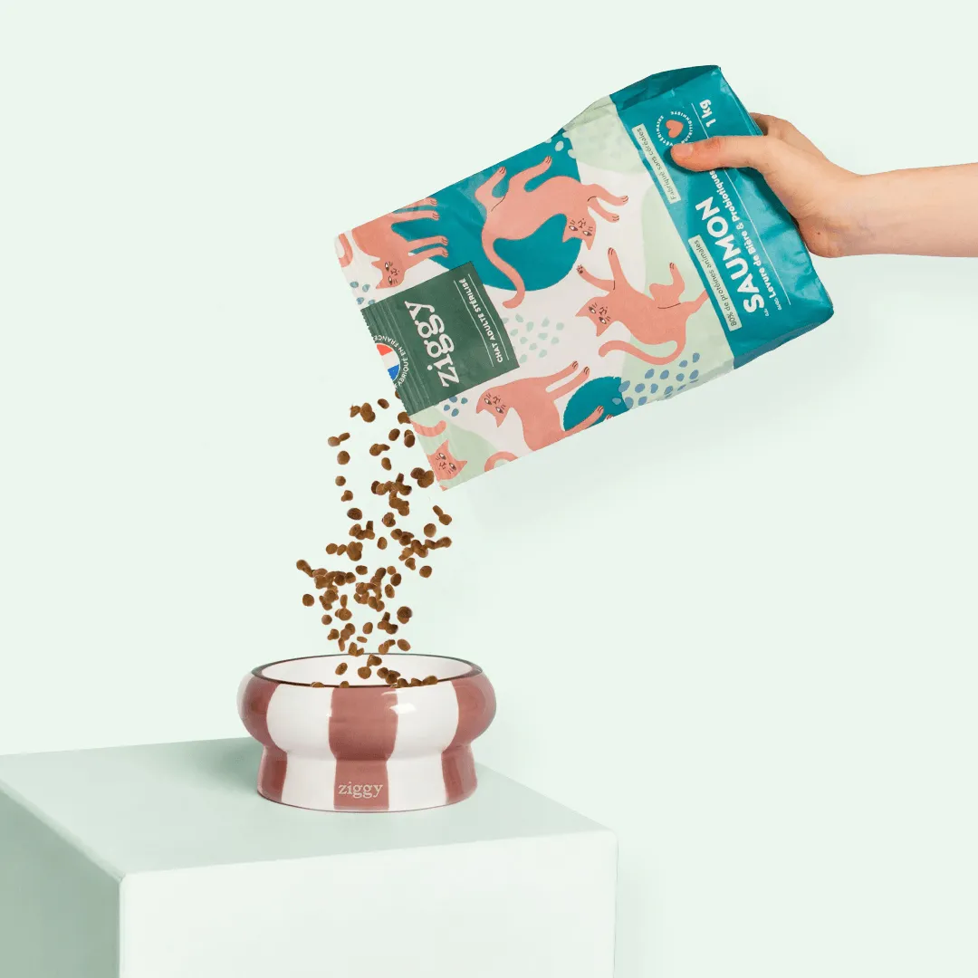Ziggy brokken zalm 1 kg graanarm eiwitrijk