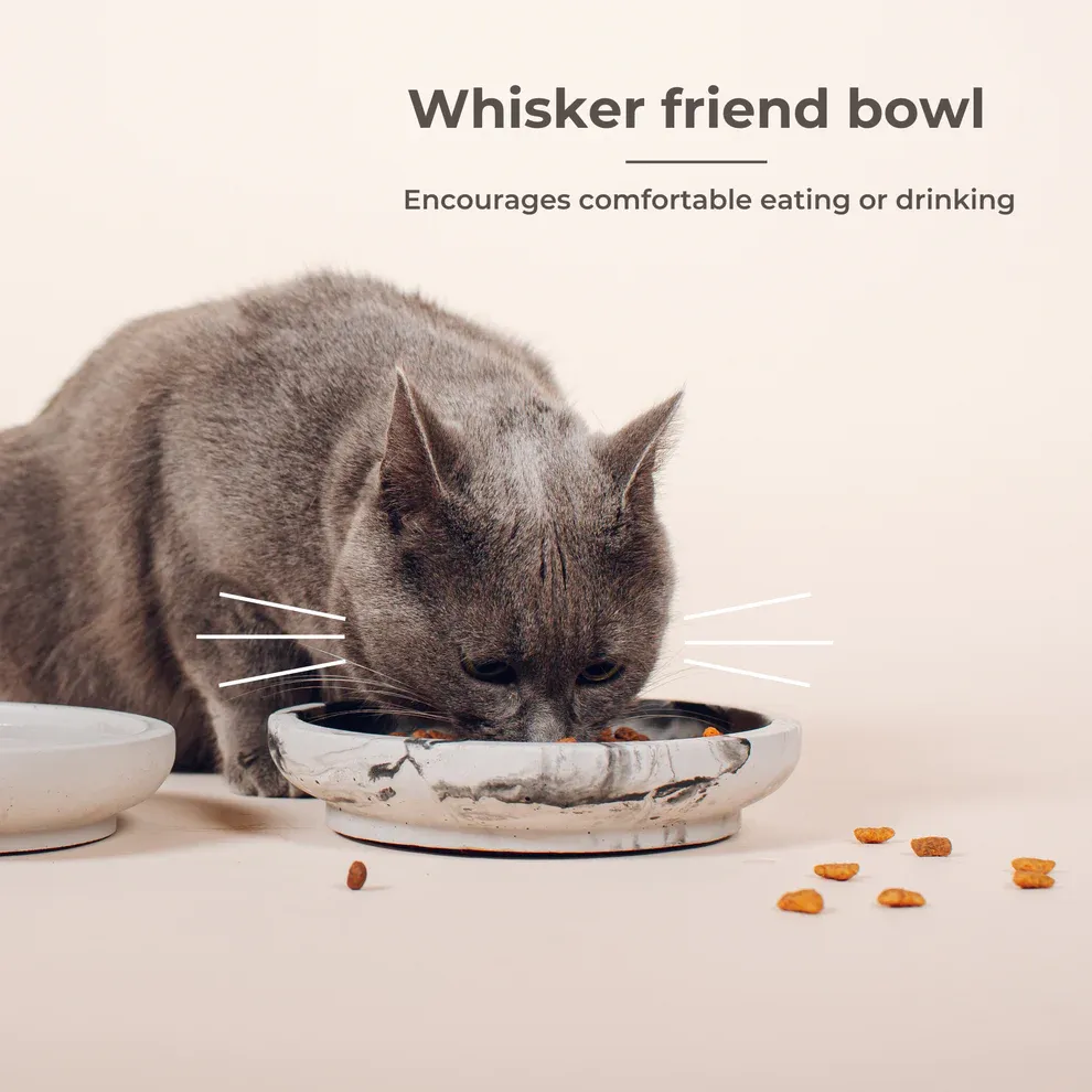 Pino Pets Slow-Feeder antischrokbak kat polyzand 4 kleuren