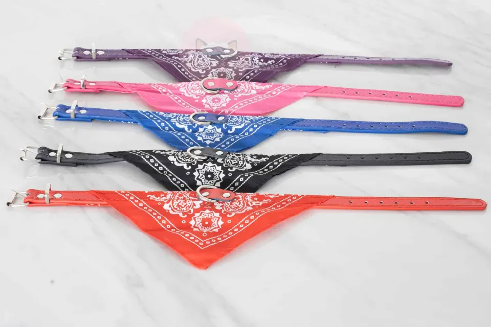 Poezenparadijs Bandana kattenhalsband S-M met ringetje