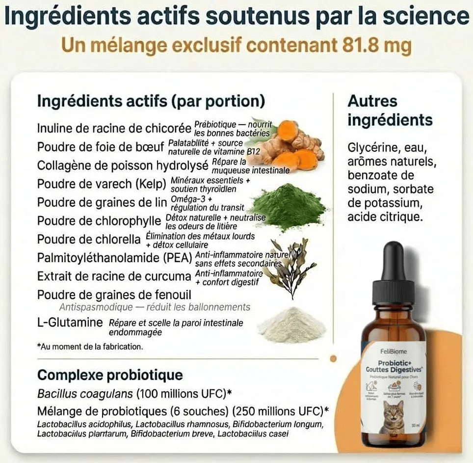 Felibiome Probiotic+ druppels spijsvertering kat