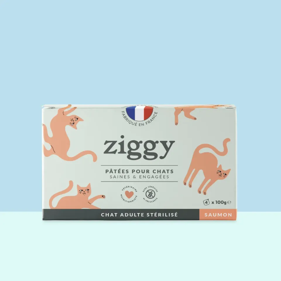 Ziggy Natvoer kattenvoer zalm 4 x 100g vis