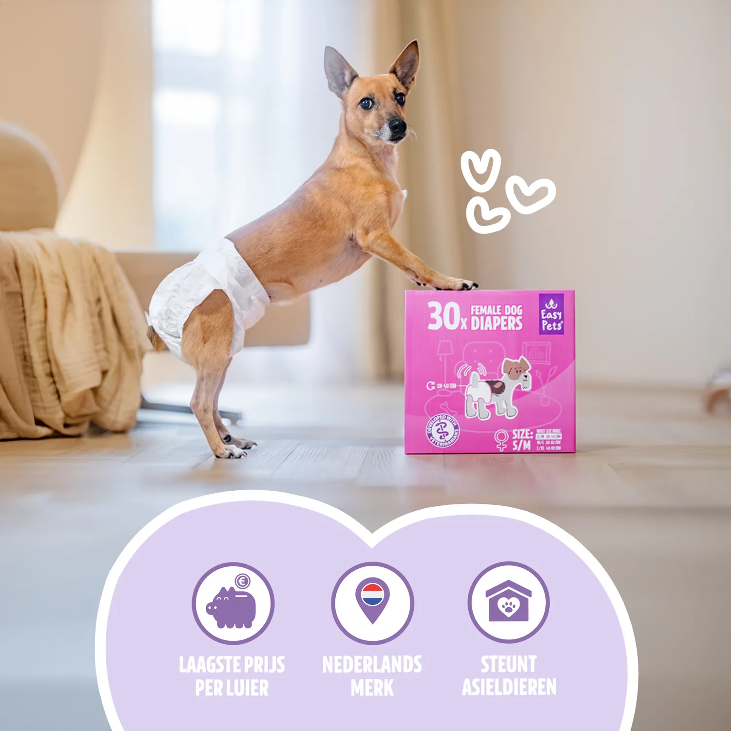 EASYPETS Hondenluiers Teef 30 stuks S/M absorberend