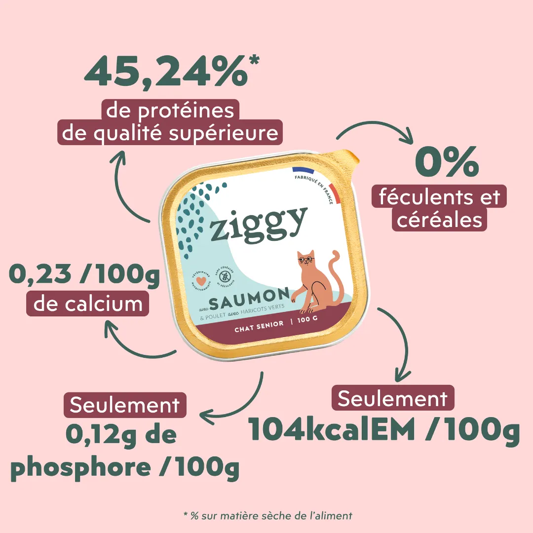 Ziggy Senior natvoer zalm 4 x 100 g graanvrij