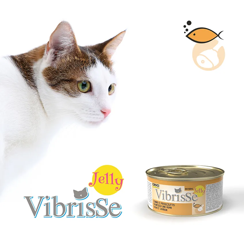 Vibrisse Jelly kip natvoer kat 70g blik gelei