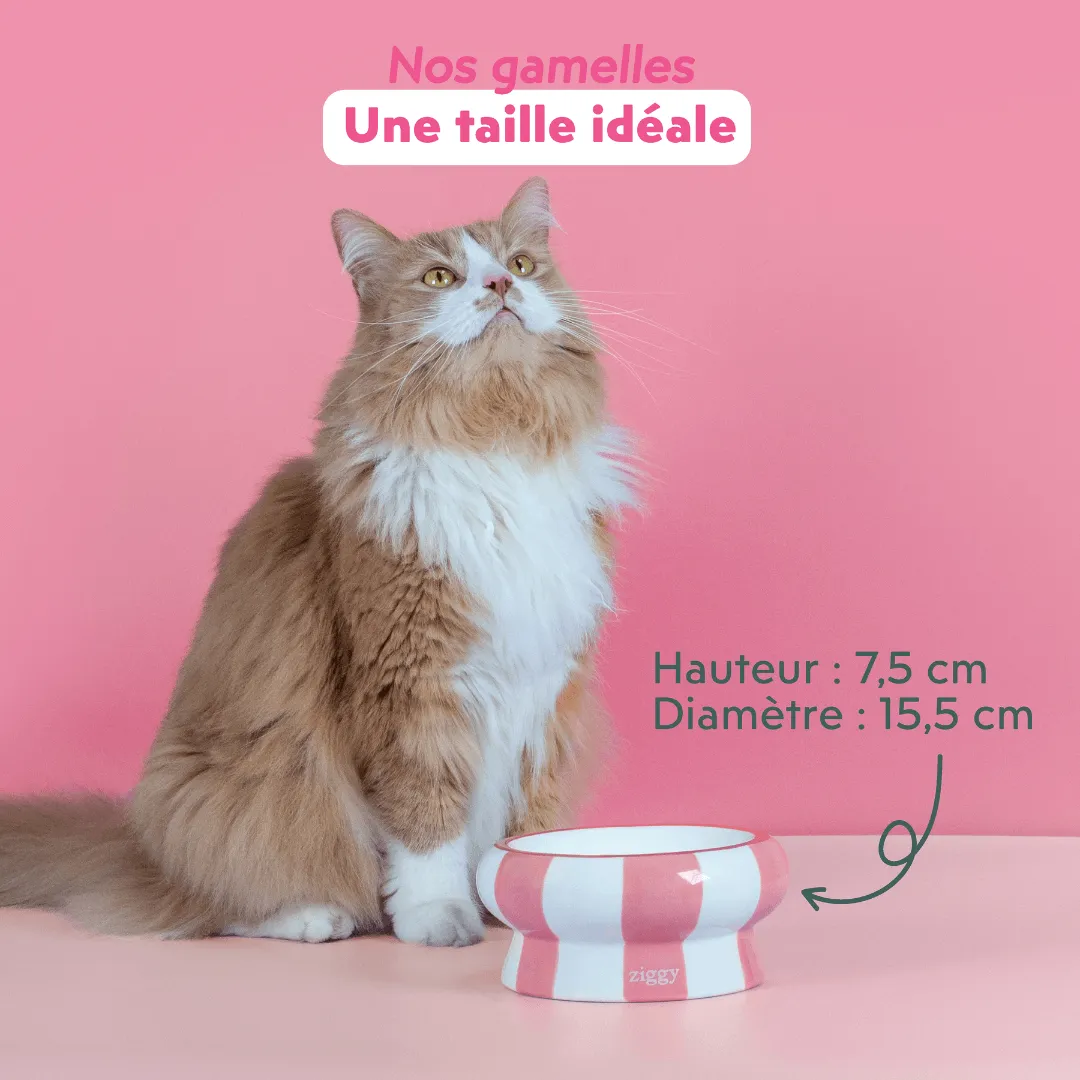 Ziggy Cool Cat Club voerbak roze keramiek
