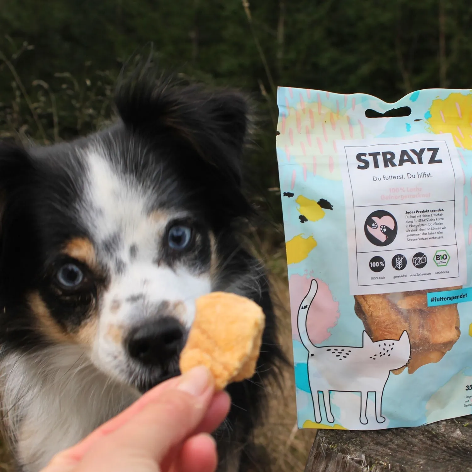 STRAYZ 100% Bio-Zalm snack hond en kat gevriesdroogd