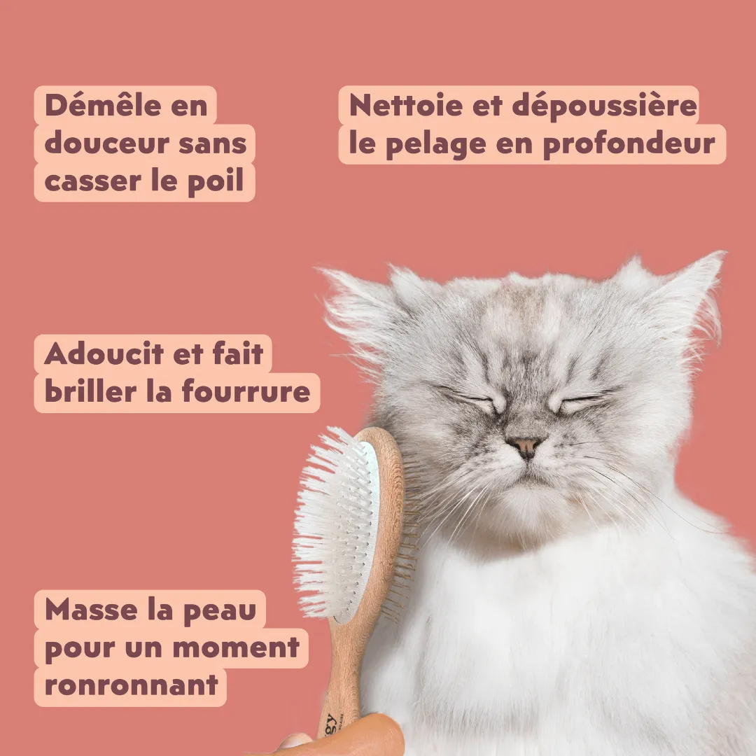 Ziggy The French Brush kattenborstel dubbelzijdig vegan