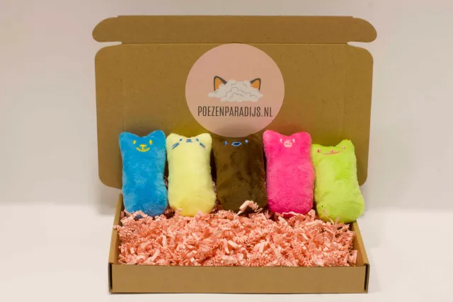 Poezenparadijs knuffelbox kattenkruid knuffels 9 cm