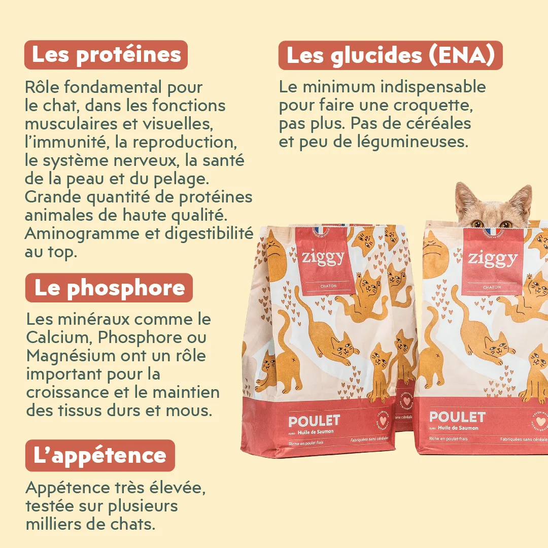 Ziggy kittenbrokken kip met zalmolie 1kg graanvrij