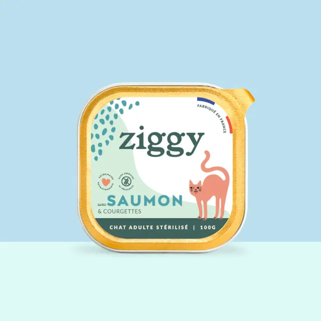 Ziggy graanvrij natvoer gesteriliseerde kat zalm 4x100g