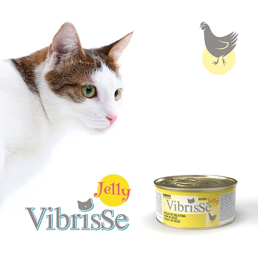 Vibrisse Jelly kip natvoer kat 70g blik gelei