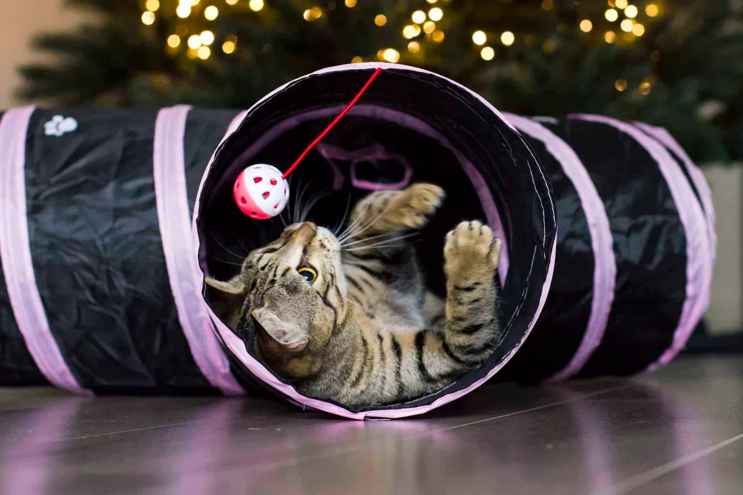 Poezenparadijs Kattentunnel Roze met Pootjes 80 cm opvouwbaar