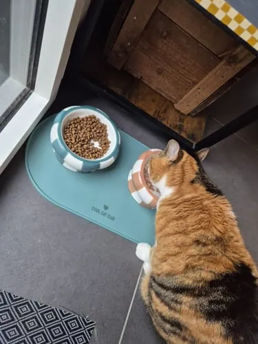 Ziggy Cool Cat Club voerbak roze keramiek