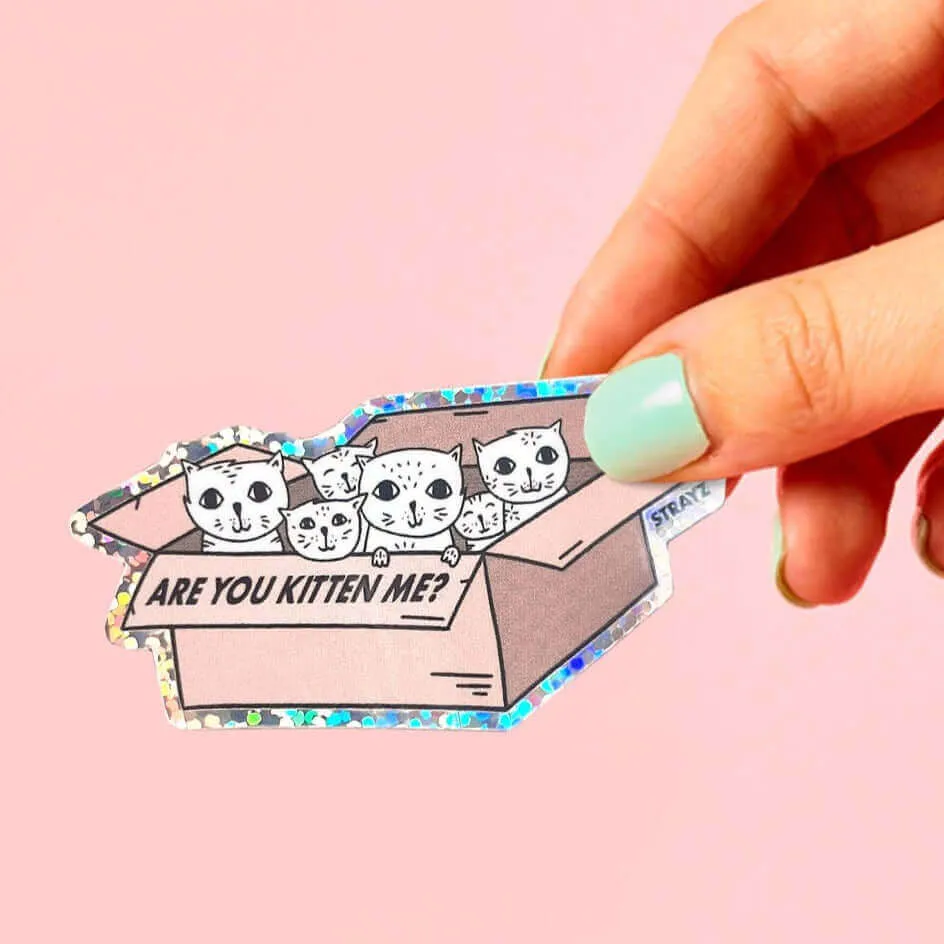 STRAYZ Are you Kitten me katten sticker
