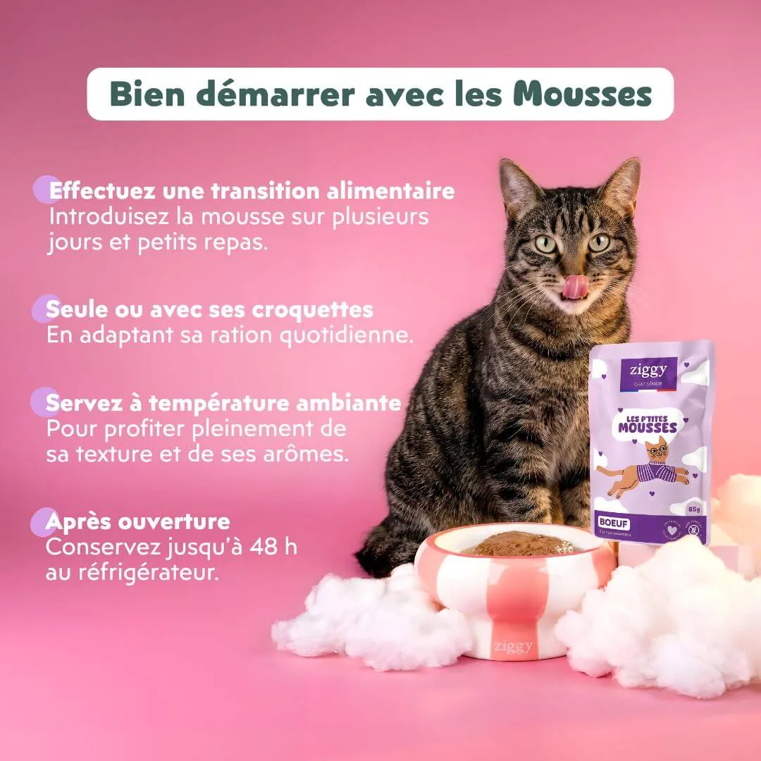Ziggy Senior mousse rund kattenvoer 12 x 85 g graanvrij