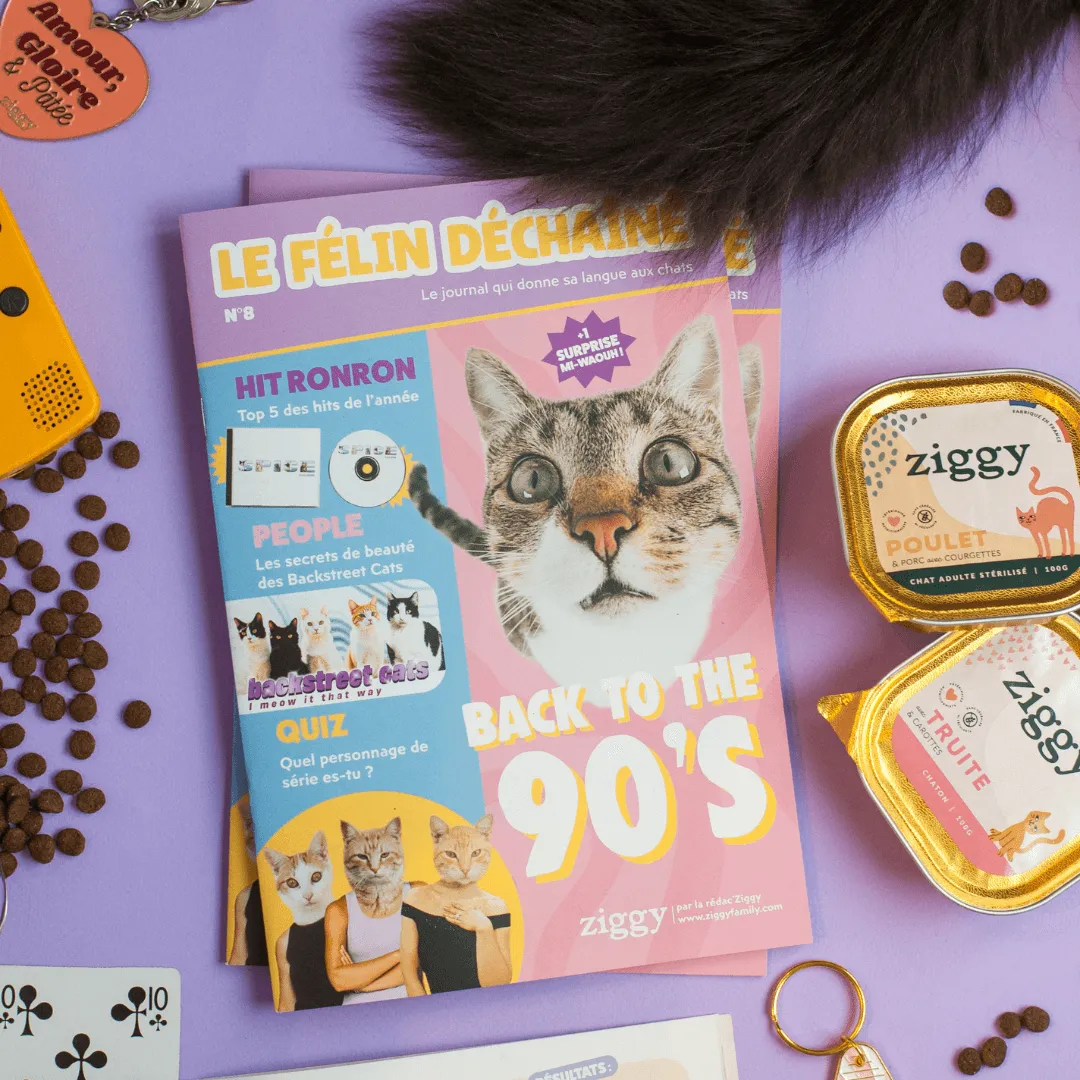 Ziggy Félin Déchaîné Issue 10 kattentijdschrift Frans