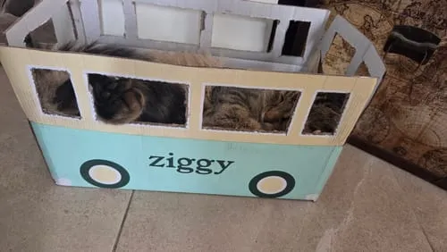 Ziggy Gesteriliseerde Kat Witvis natvoer 4 x 100 g graanvrij