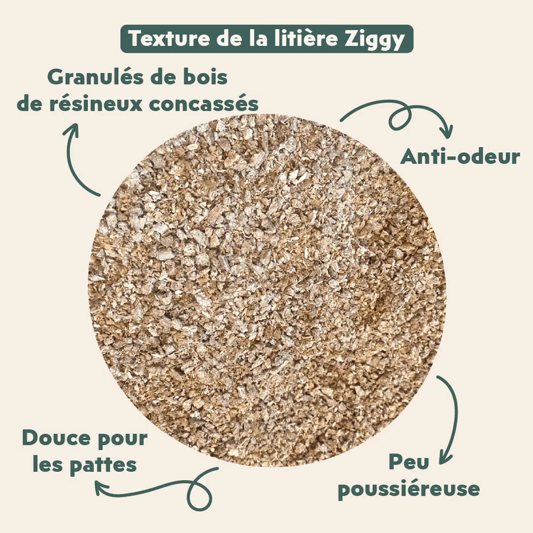Ziggy plantaardige kattenbakvulling 10L niet-klontvormend
