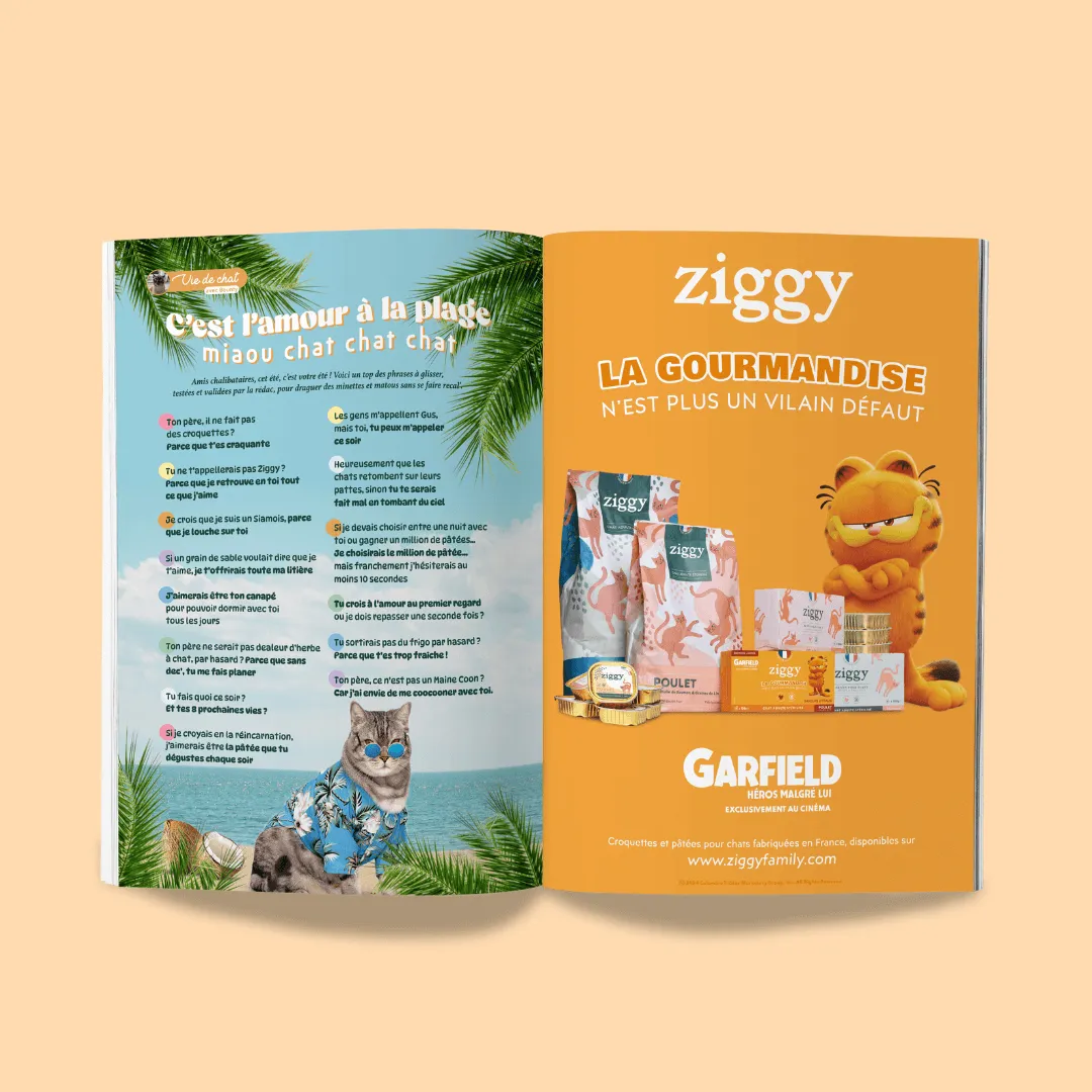 Ziggy Félin Déchaîné kattenmagazine editie 5 Frans