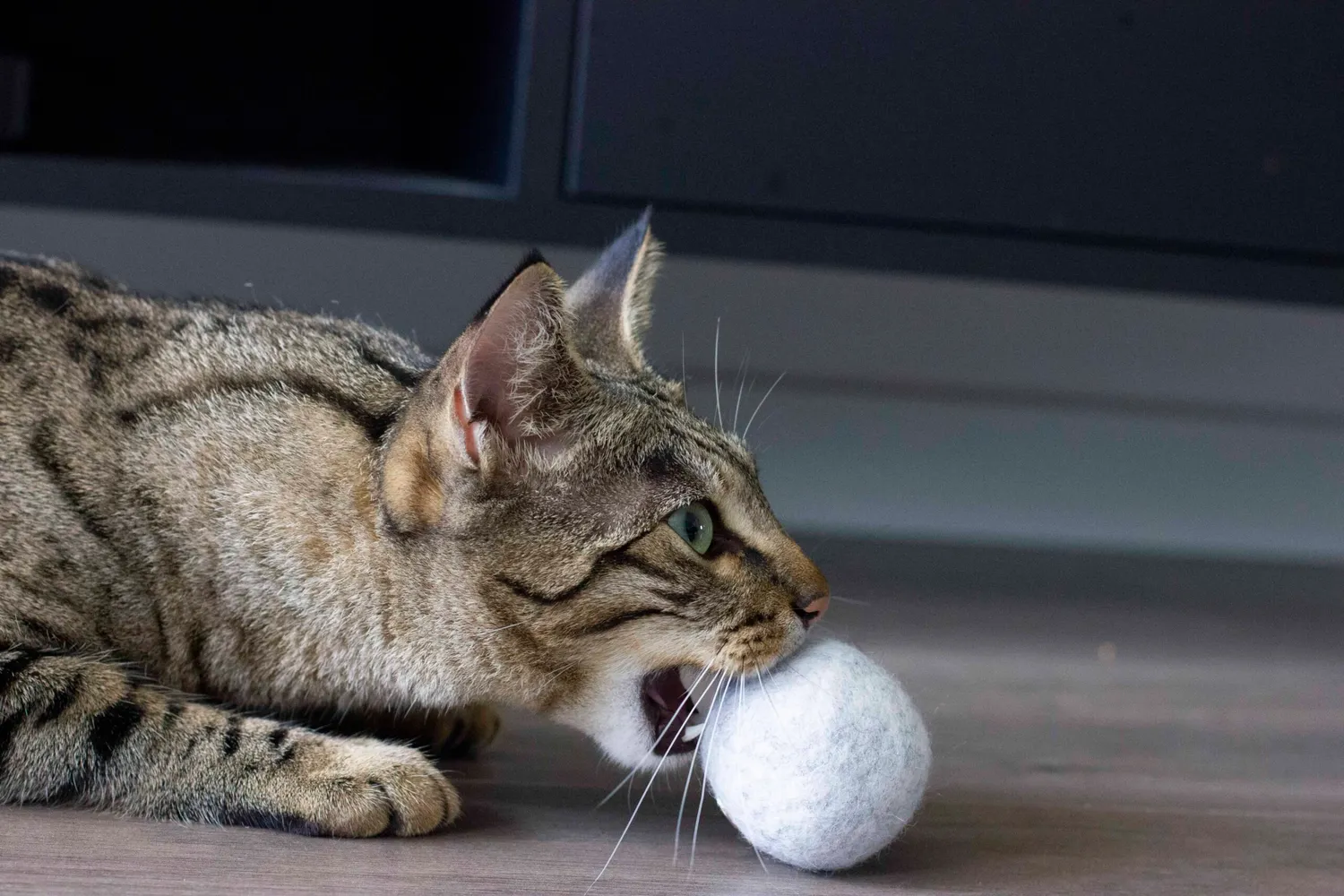 Poezenparadijs wollen bal kattenspeeltje met catnip