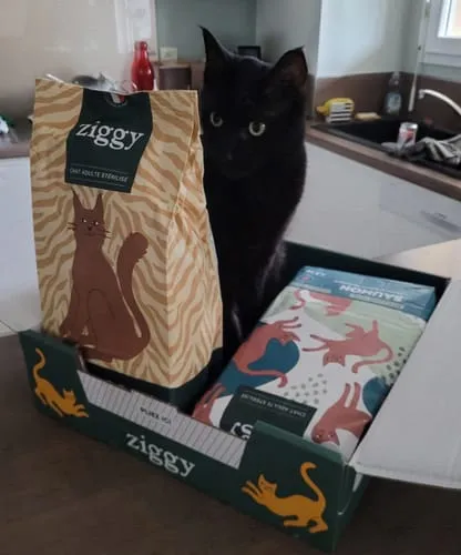 Ziggy Maine Coon gesteriliseerd brokken kip 2,5 kg graanvrij
