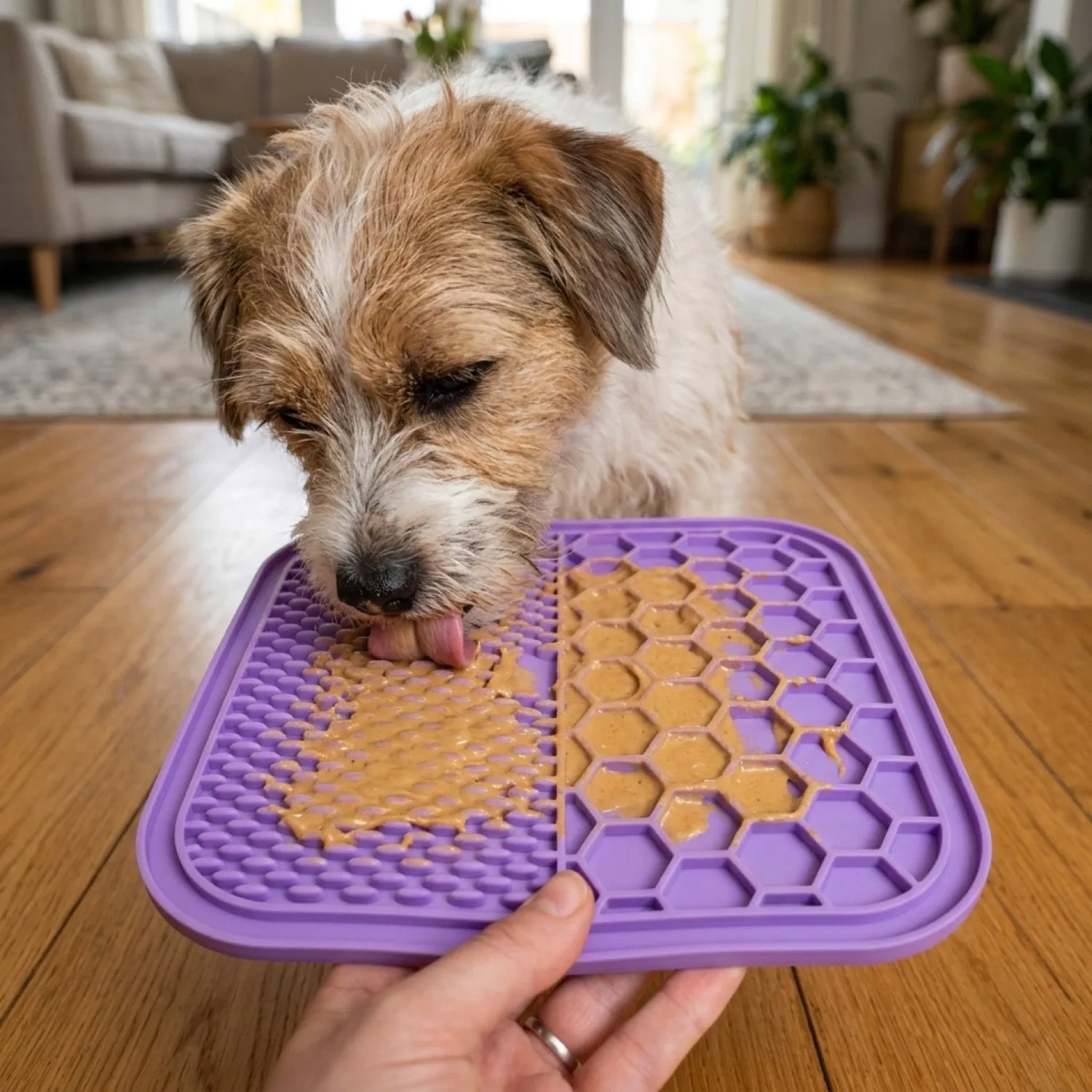 Easypets Likmat 21x21cm likmat siliconen