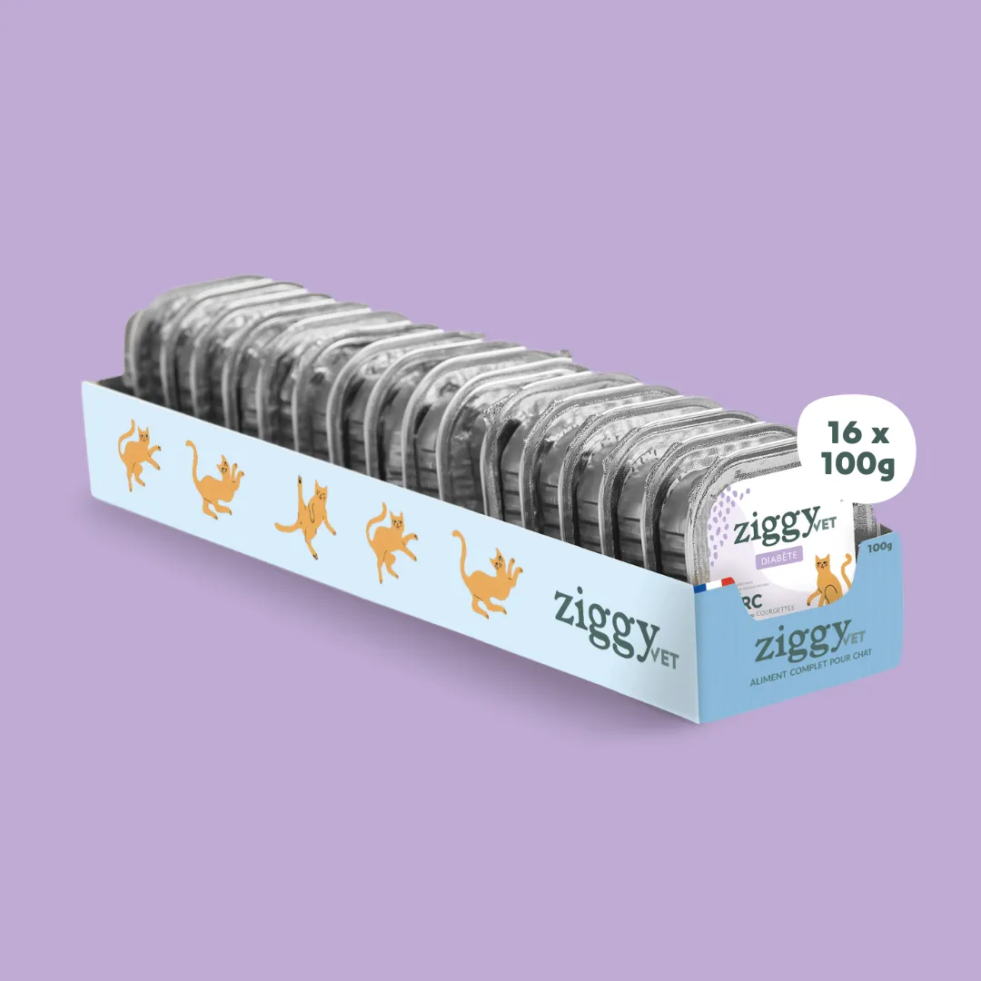 Ziggy VET natvoer kat diabetes varken 4 x 100 g